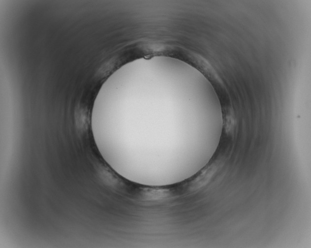 X0000112210476200908281503
