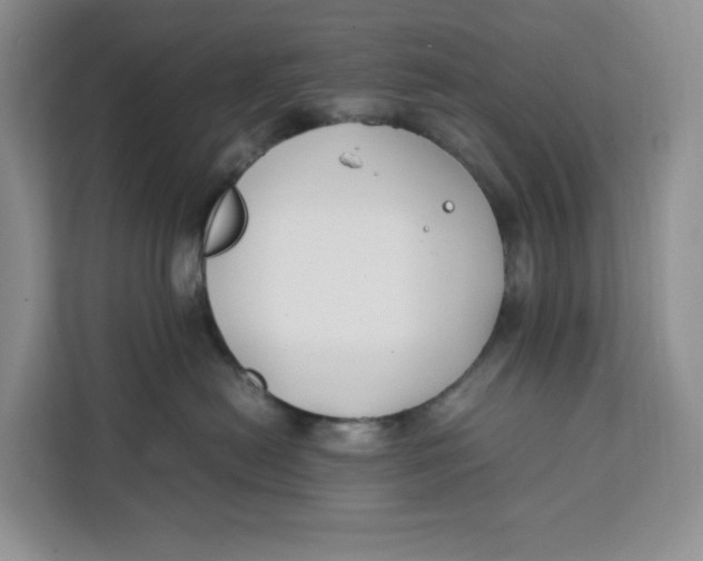 X0000112210478200908281503