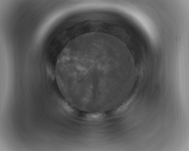 X0000112210479200908281503