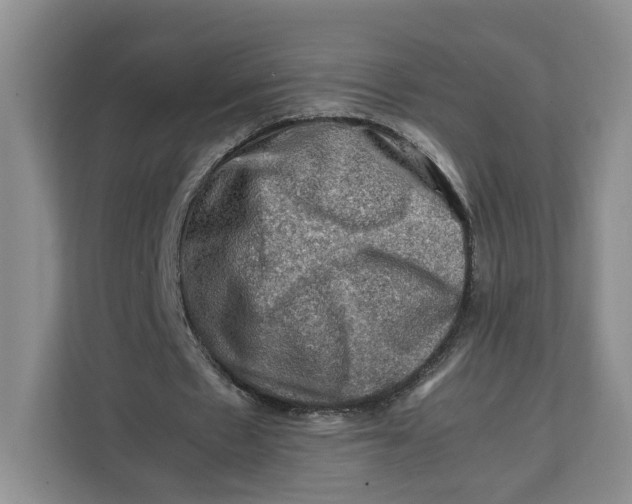 X0000112210481200908281503