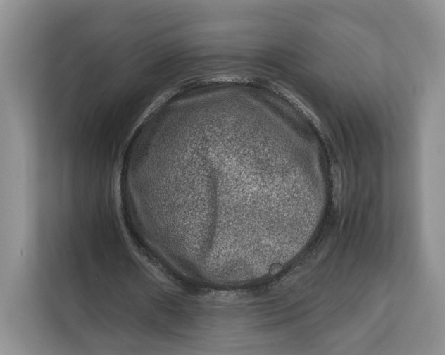 X0000112210482200908281503