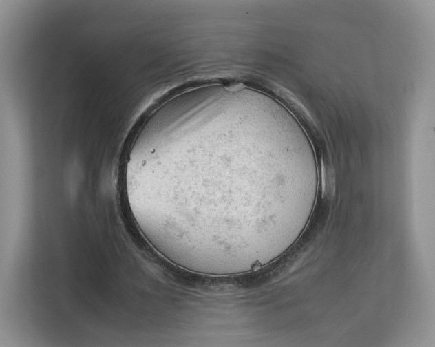 X0000112210483200908281503