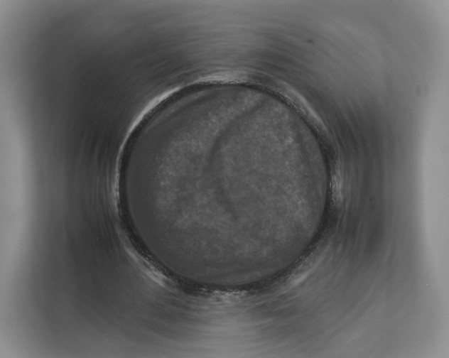 X0000112210484200908281503