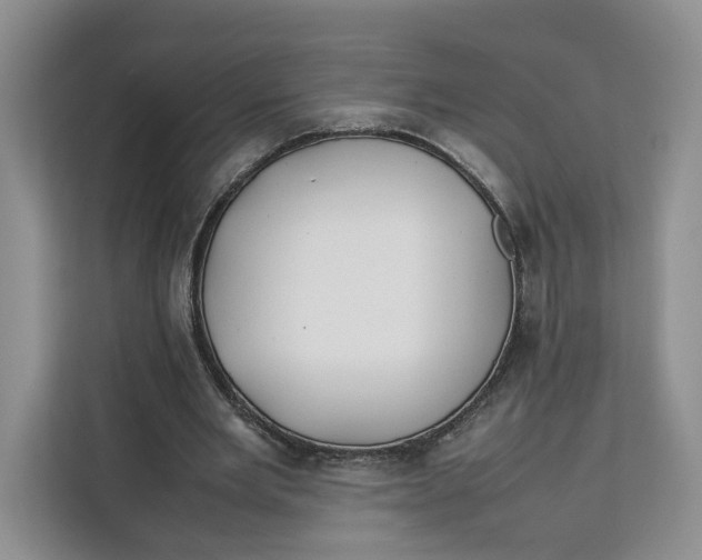 X0000112210485200908281503