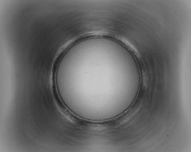 X0000112210486200908281503
