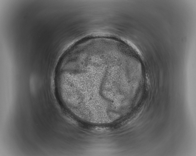 X0000112210487200908281503