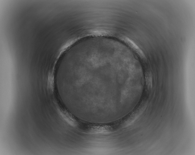 X0000112210488200908281503