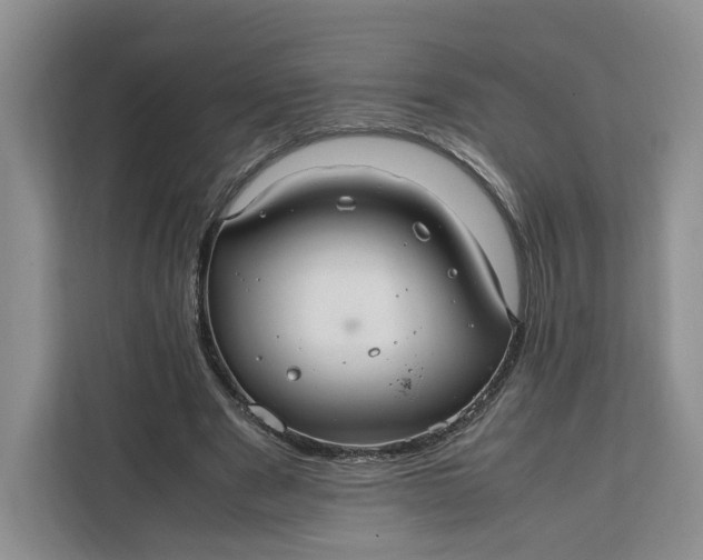 X0000112210489200908281503