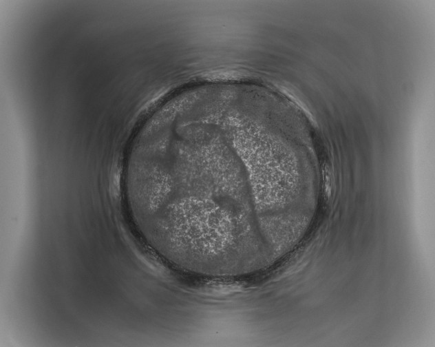X0000112210491200908281503
