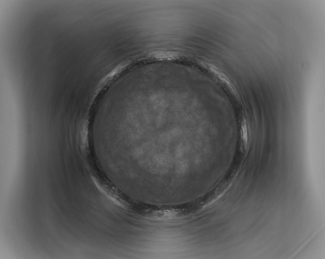 X0000112210492200908281503