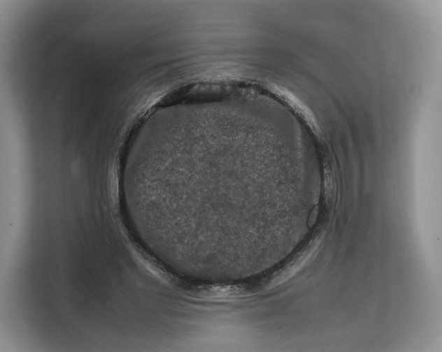 X0000112210493200908281503