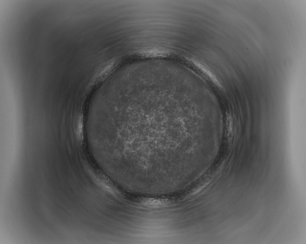 X0000112210494200908281503