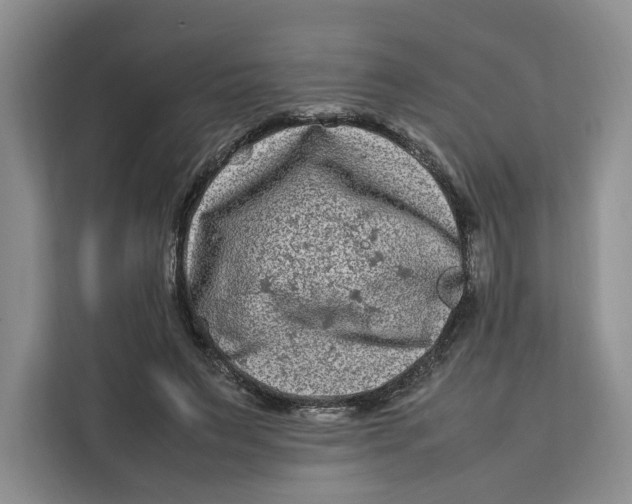 X0000112210495200908281503