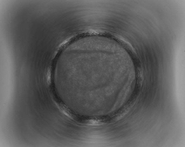 X0000112210496200908281503