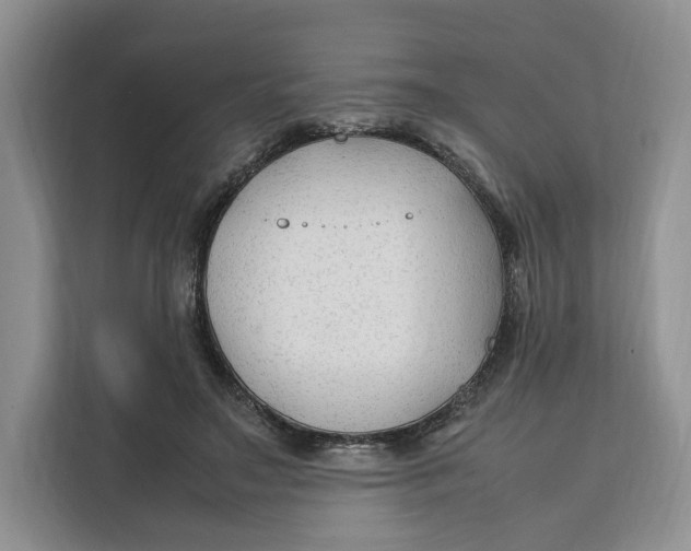 X0000112210499200908281503