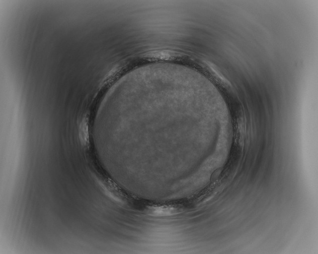 X0000112210500200908281503