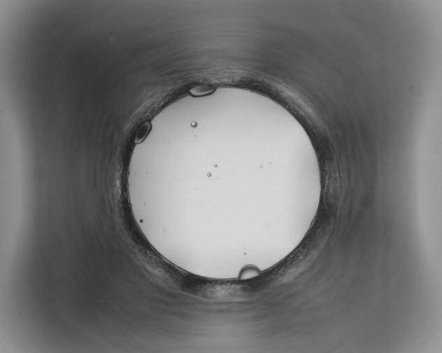 X0000112210501200908281502