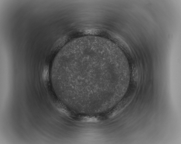 X0000112210502200908281502