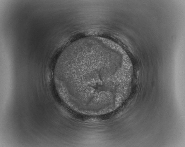 X0000112210503200908281502