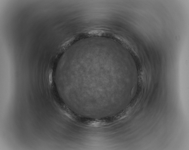 X0000112210504200908281502