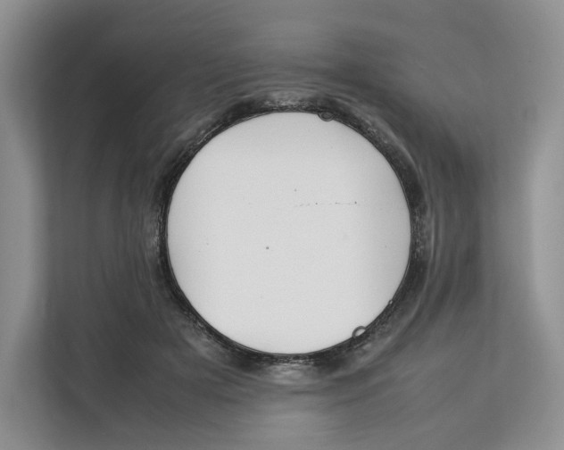 X0000112210505200908281502