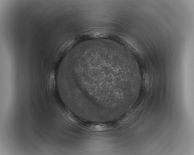 X0000112210506200908281502