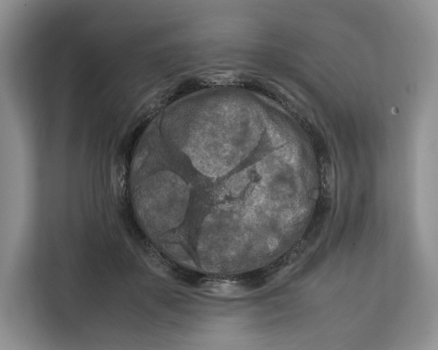 X0000112210507200908281502