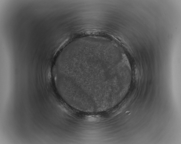 X0000112210508200908281502
