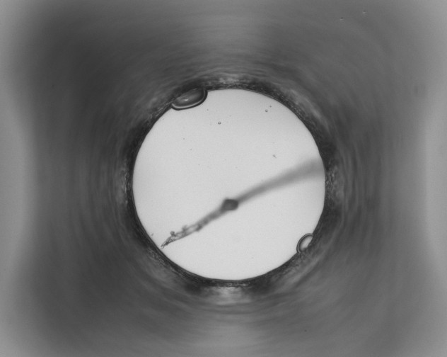 X0000112210509200908281502