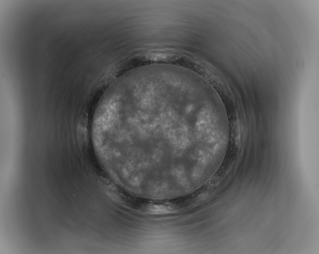 X0000112210510200908281502
