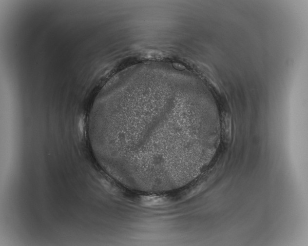 X0000112210511200908281502
