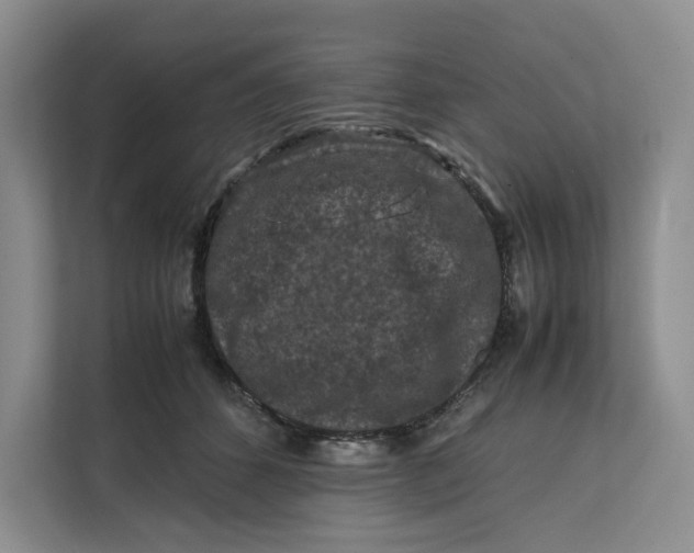 X0000112210512200908281502