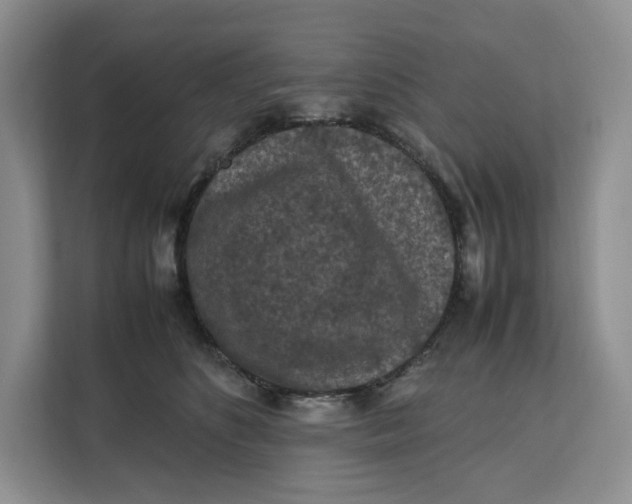 X0000112210516200908281502