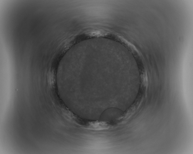 X0000112210517200908281502