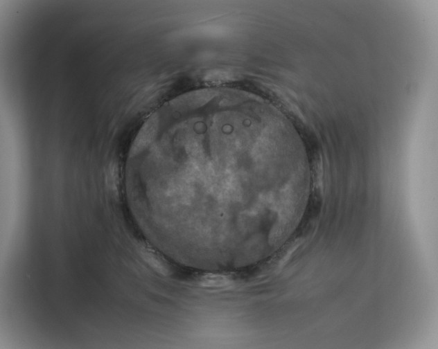 X0000112210519200908281502