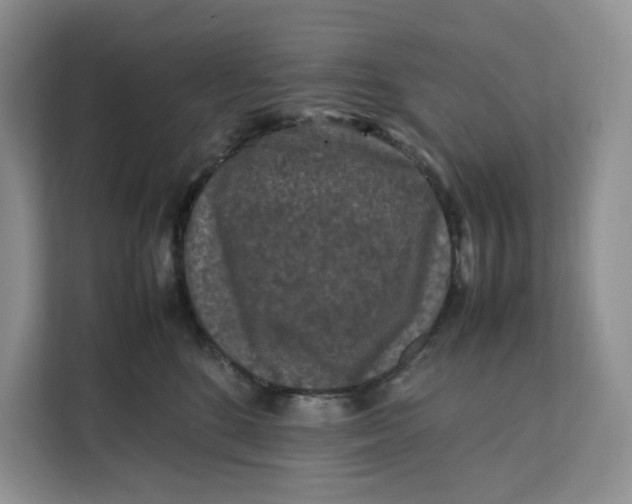 X0000112210520200908281502