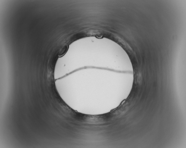X0000112210521200908281502