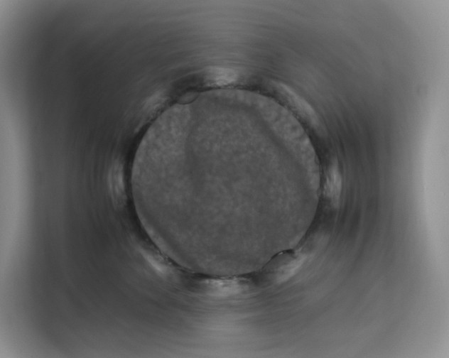 X0000112210524200908281502
