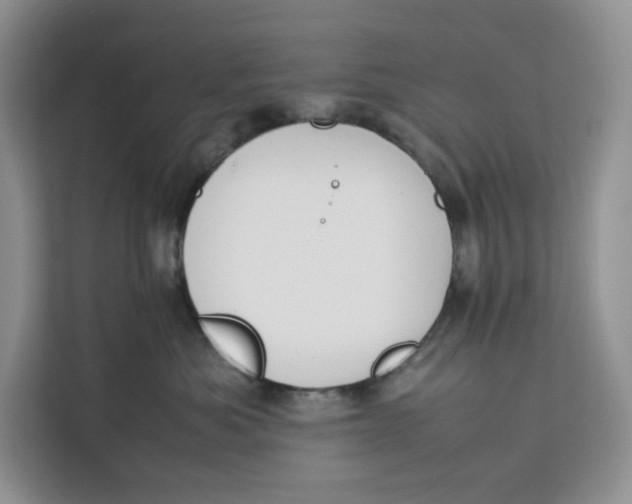 X0000112210525200908281502