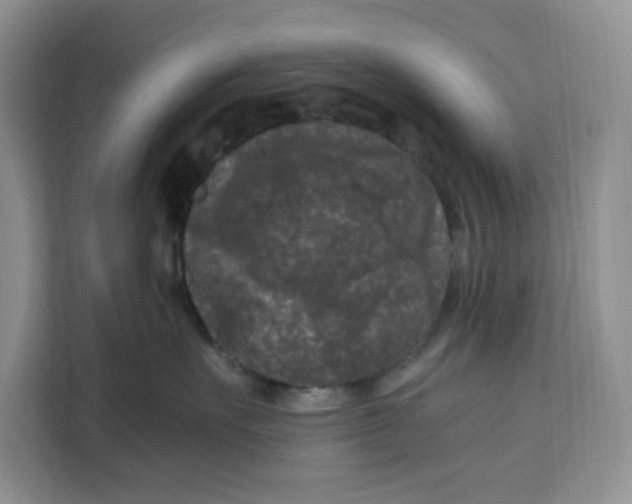 X0000112210527200908281502