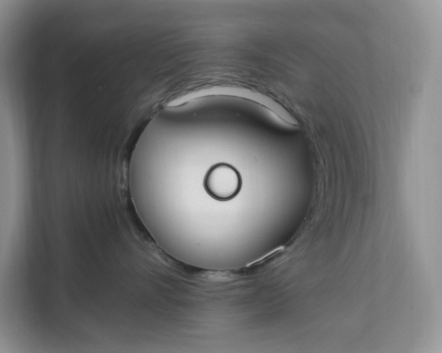 X0000112210528200908281502