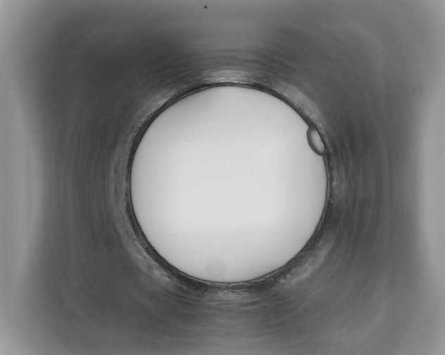 X0000112210529200908281502