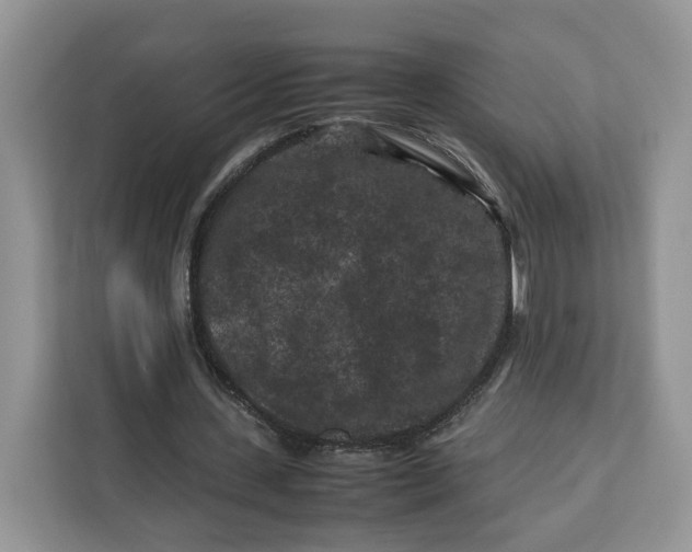 X0000112210531200908281502