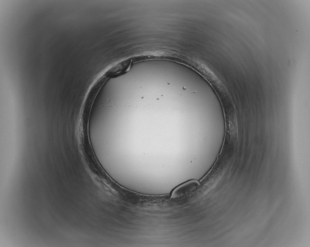 X0000112210532200908281502