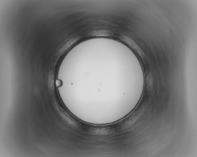 X0000112210533200908281502