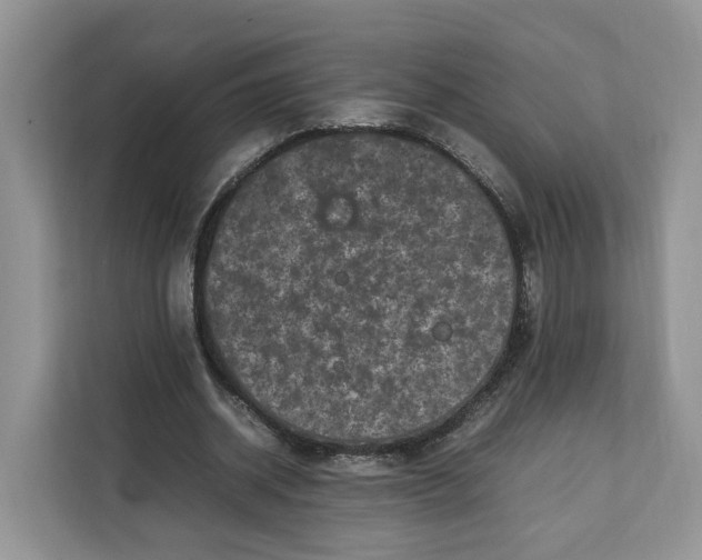 X0000112210534200908281502