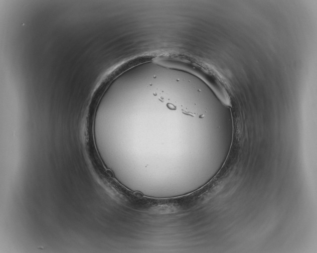 X0000112210536200908281502