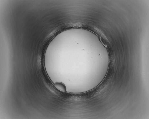 X0000112210538200908281502