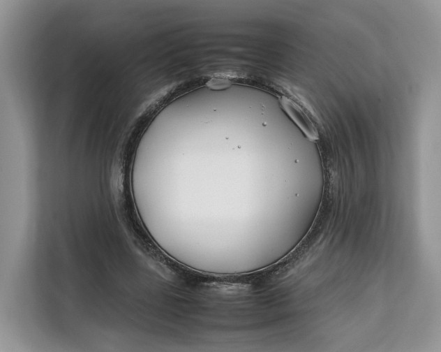X0000112210539200908281502