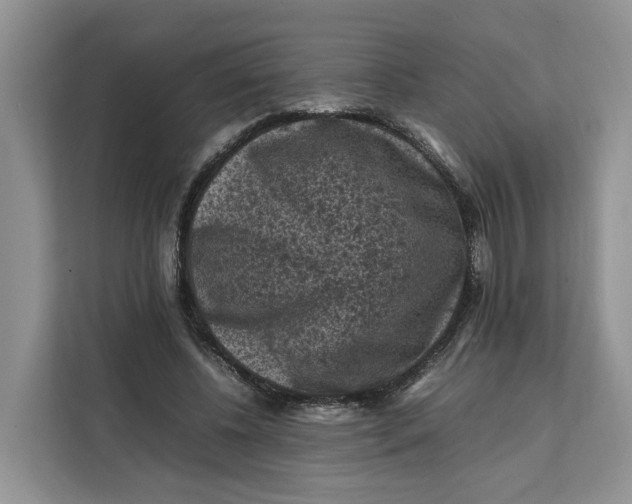 X0000112210540200908281502